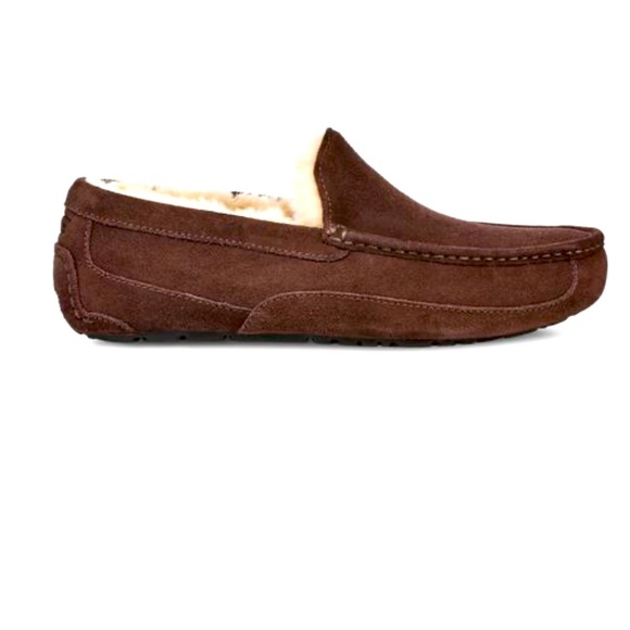 UGG Other - UGG Ascot Slipper Men’s 11 Espresso comfort